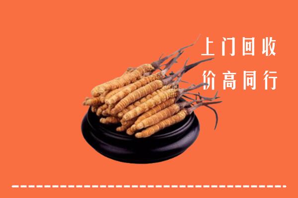 高价求购：营口西市回收散虫草