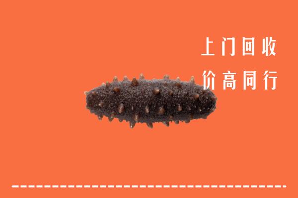 营口西市回收海参