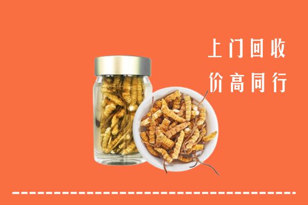 营口西市回收冬虫夏草