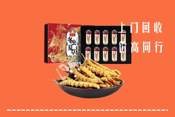 营口西市回收虫草